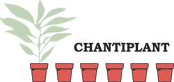 Chantiplant